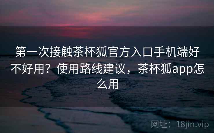 第一次接触茶杯狐官方入口手机端好不好用？使用路线建议，茶杯狐app怎么用