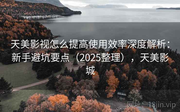 天美影视怎么提高使用效率深度解析：新手避坑要点（2025整理），天美影城