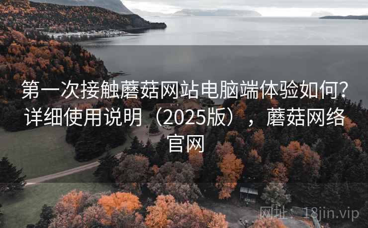 第一次接触蘑菇网站电脑端体验如何？详细使用说明（2025版），蘑菇网络官网