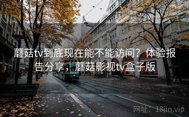 蘑菇tv到底现在能不能访问？体验报告分享，蘑菇影视tv盒子版
