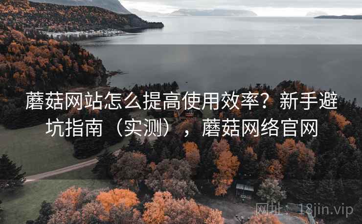 蘑菇网站怎么提高使用效率？新手避坑指南（实测），蘑菇网络官网