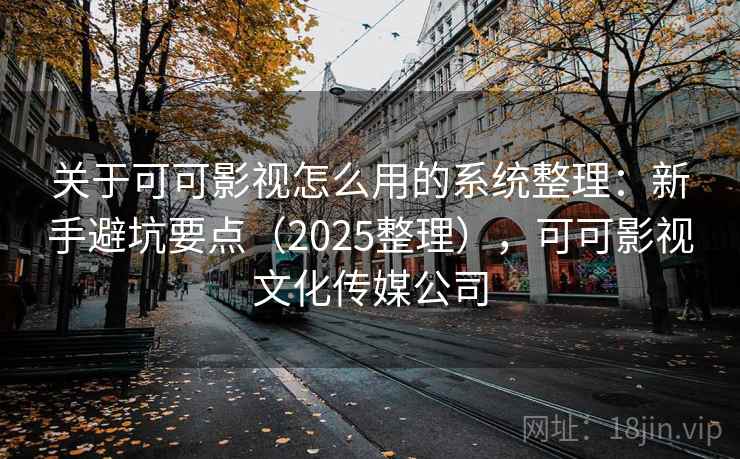 关于可可影视怎么用的系统整理：新手避坑要点（2025整理），可可影视文化传媒公司