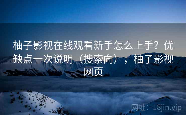 柚子影视在线观看新手怎么上手？优缺点一次说明（搜索向），柚子影视网页