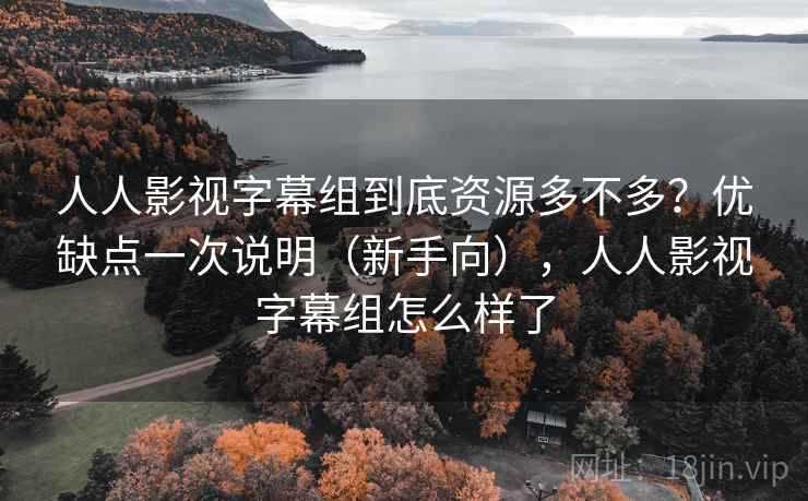 人人影视字幕组到底资源多不多？优缺点一次说明（新手向），人人影视字幕组怎么样了